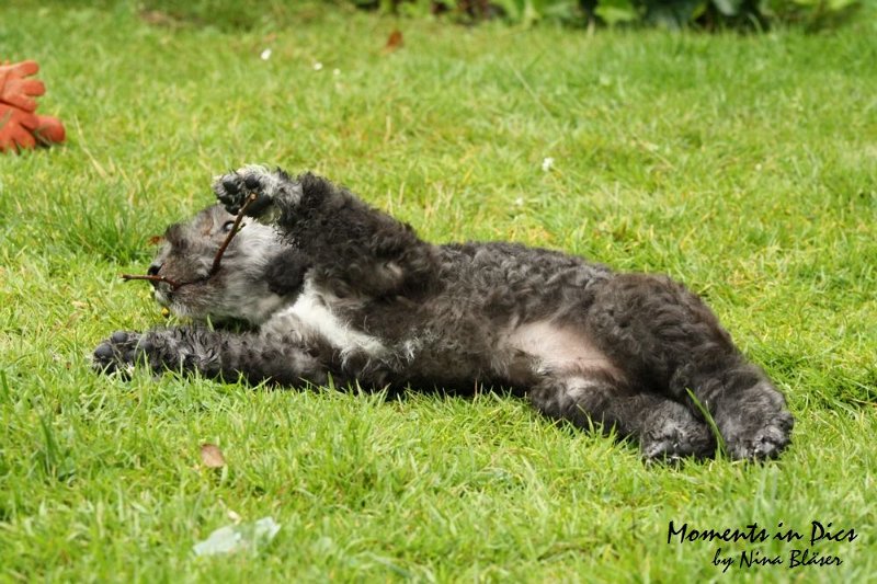 Antares 2009-07-12 (34).JPG